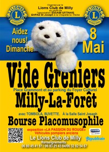 Vide Grenier Lions Milly